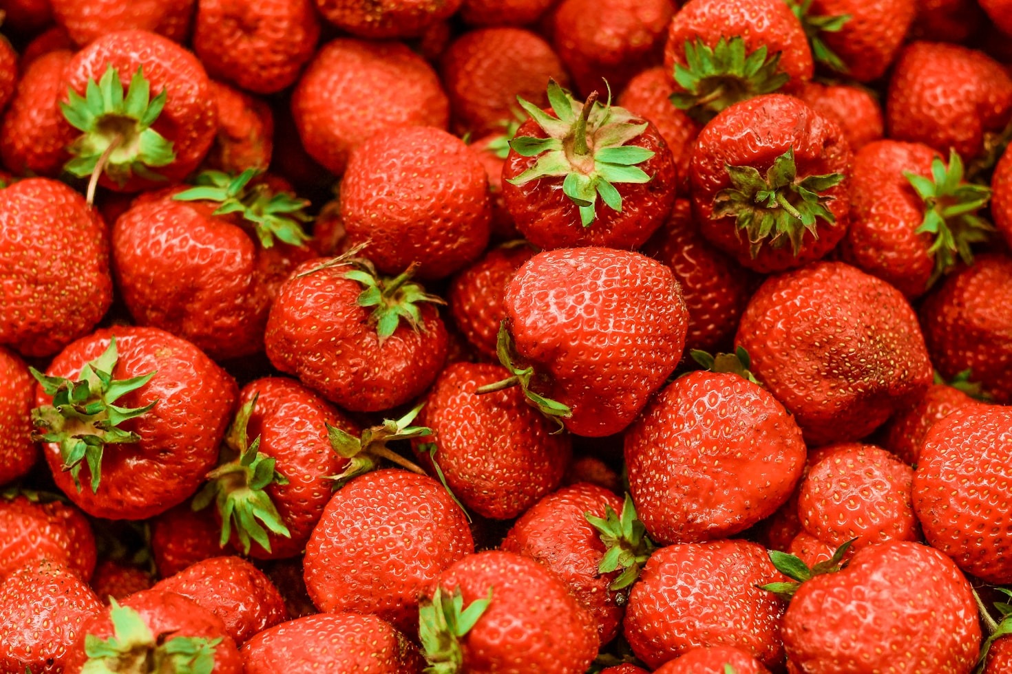 Guía esencial para el manejo de cultivos frutales